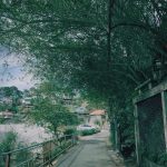 📸 No Scenery Captured Through a Lens Is More Beautiful Than What Your Eyes See | RainBow Travel Đà Lạt