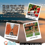 🌤 Da Lat Weather This Week: What to Expect?