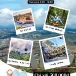 1-Day Dalat Tour – Only 500K for a Full Day of Iconic Experiences!