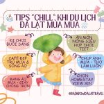 🧳 TIPS DU LỊCH ĐÀ LẠT MÙA MƯA – ĐỪNG ĐỂ MƯA “DẬP TẮT” CHUYẾN ĐI!