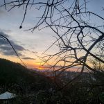 The Little Things That Make People Keep Coming Back to Da Lat